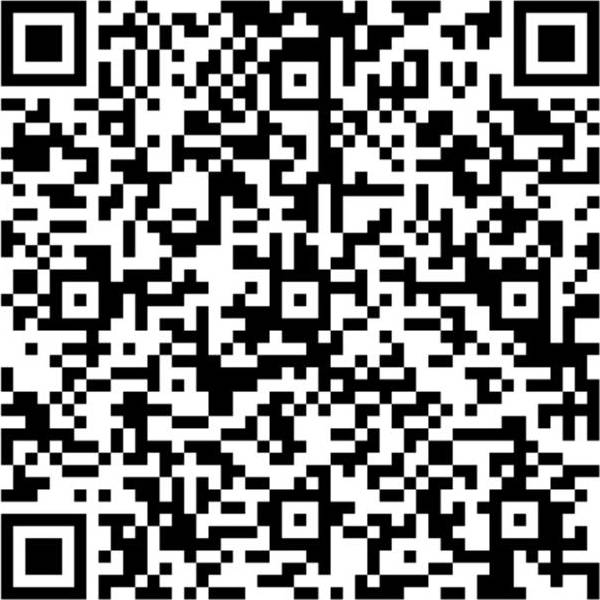 QR Code Pix